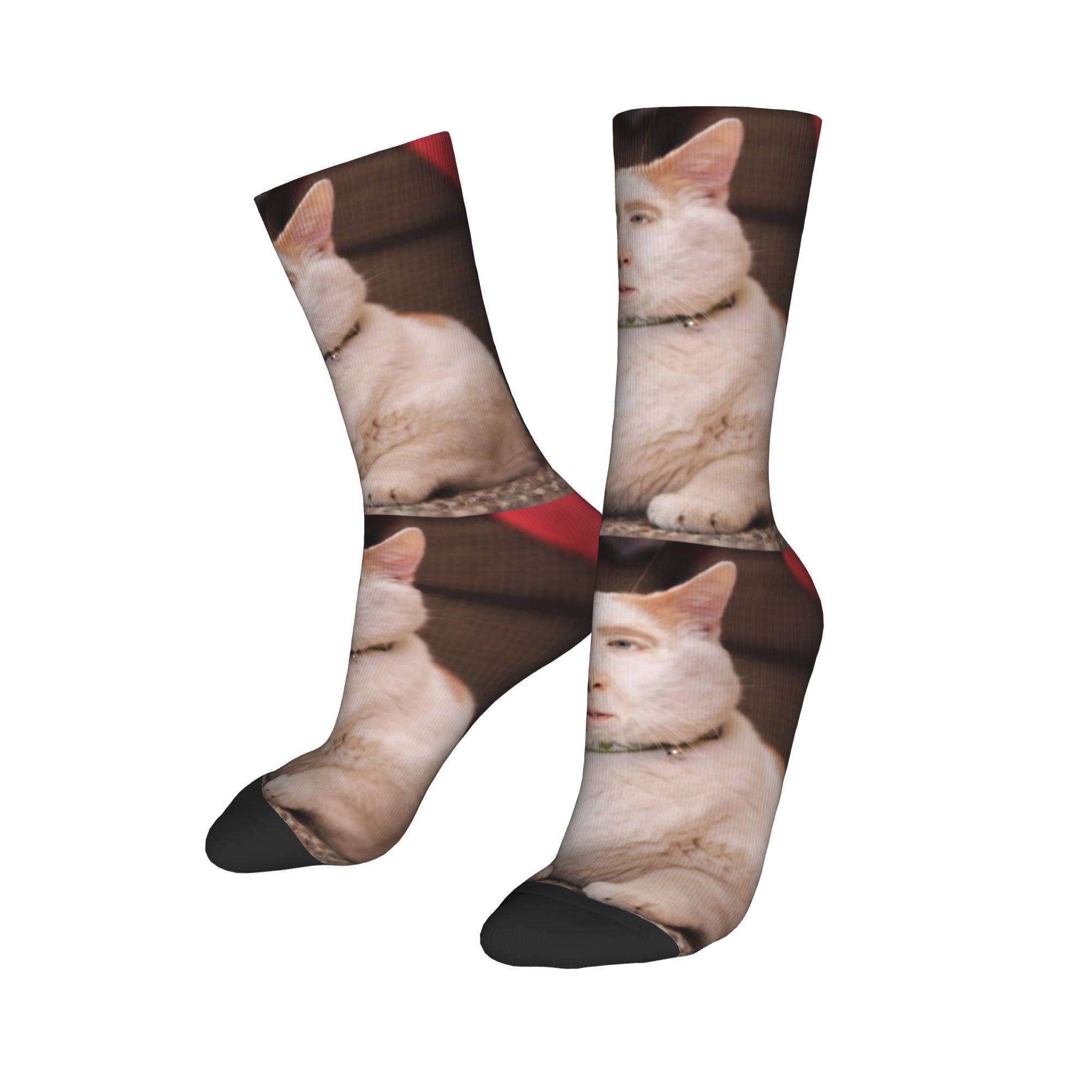 جوارب نيكولاس كيج كات ميم المخ - مراجعة Dress Sock Men وسعره
